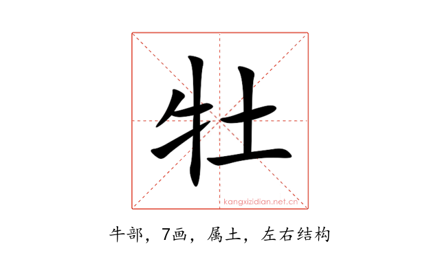 牡