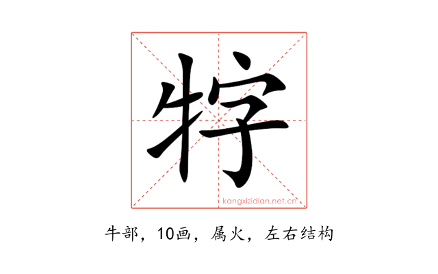牸