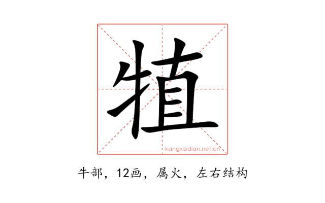 犆