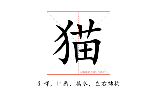 猫