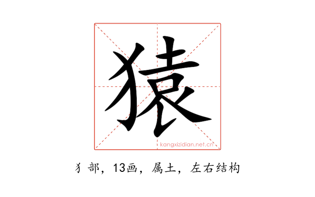 猿