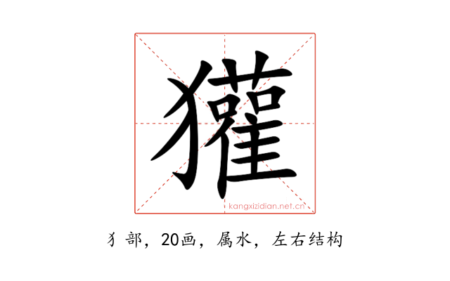 獾