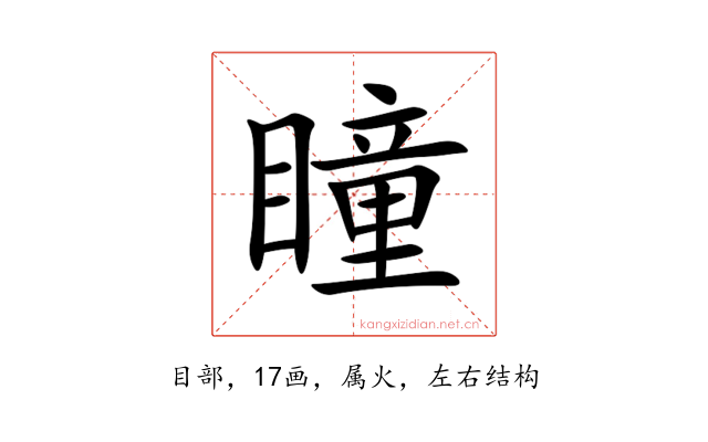 瞳