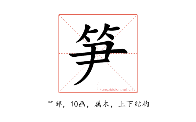 笋