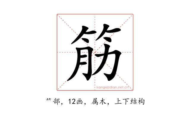 筋