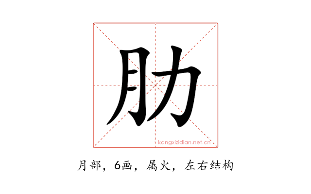 肋