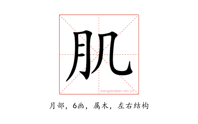 肌