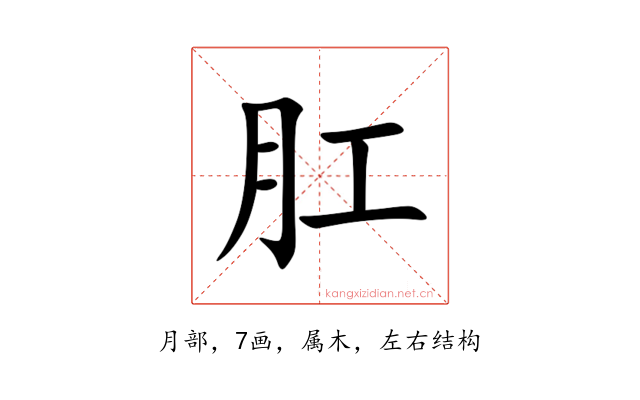 肛