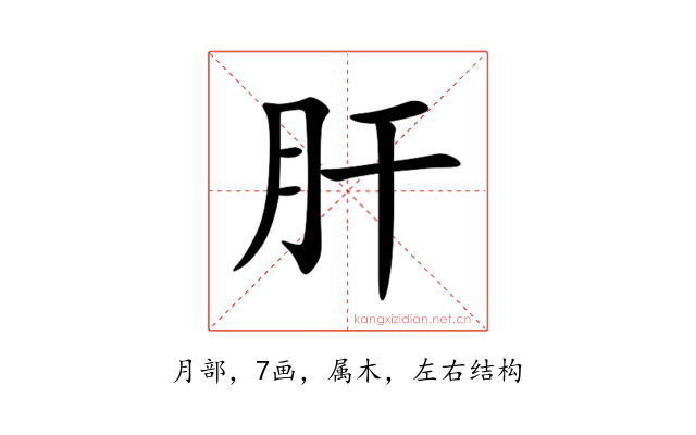 肝