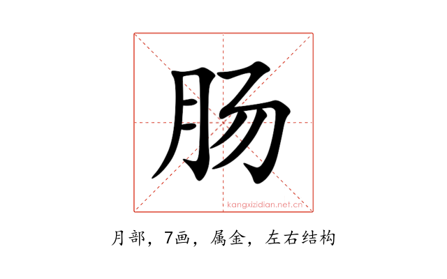 肠