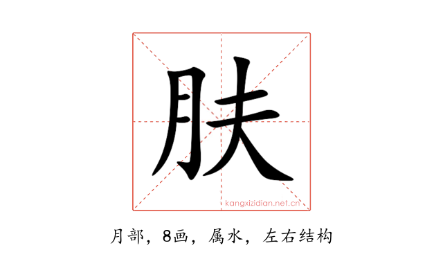 肤