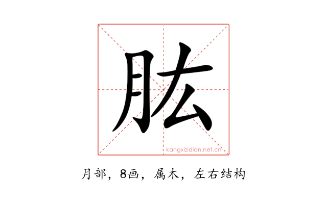 肱