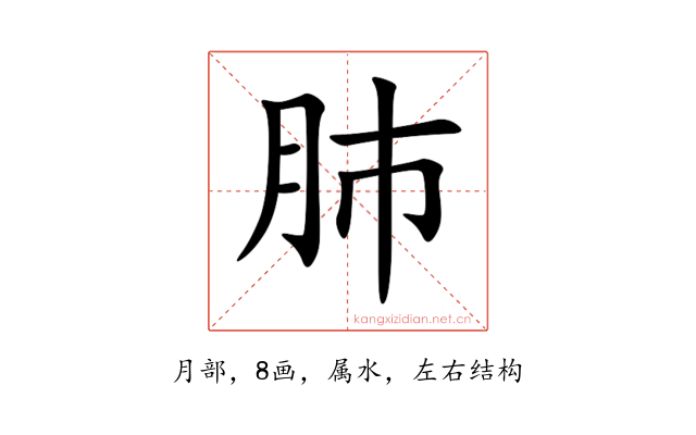 肺