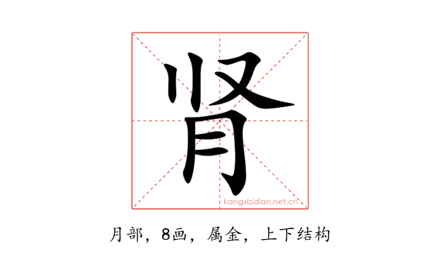 肾