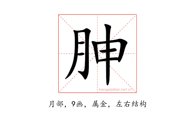 胂
