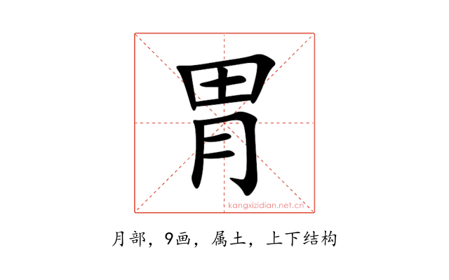 胃