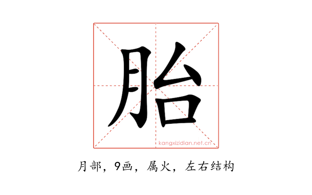 胎