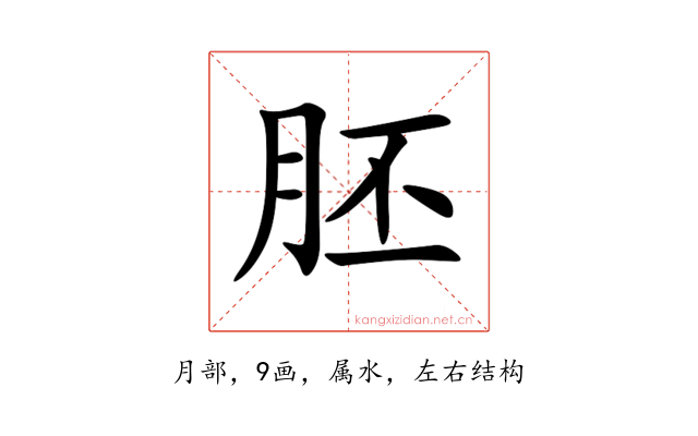 胚