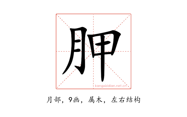 胛