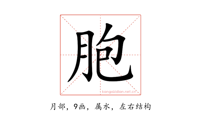 胞