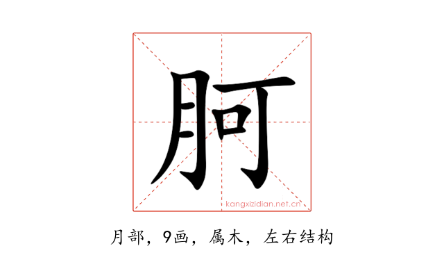 胢
