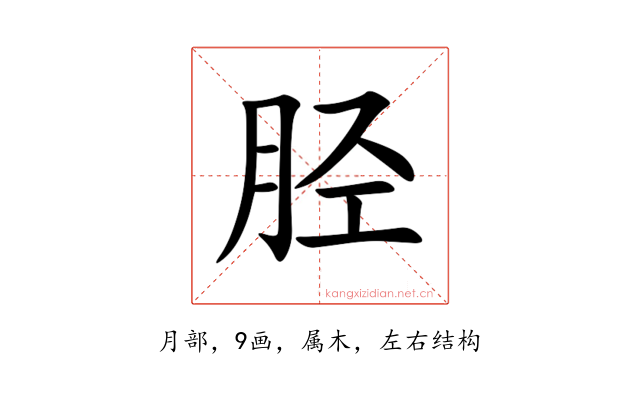 胫