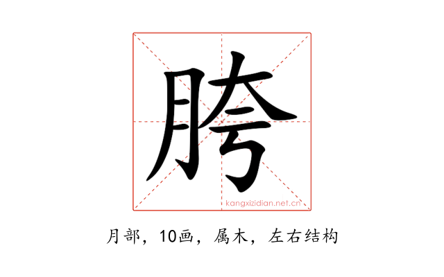 胯