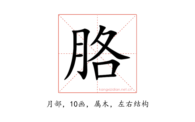 胳