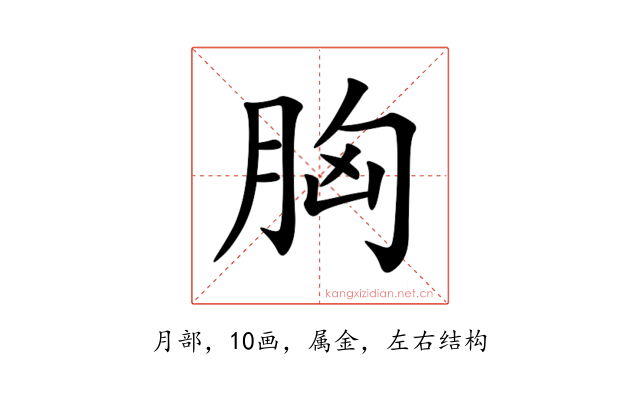 胸