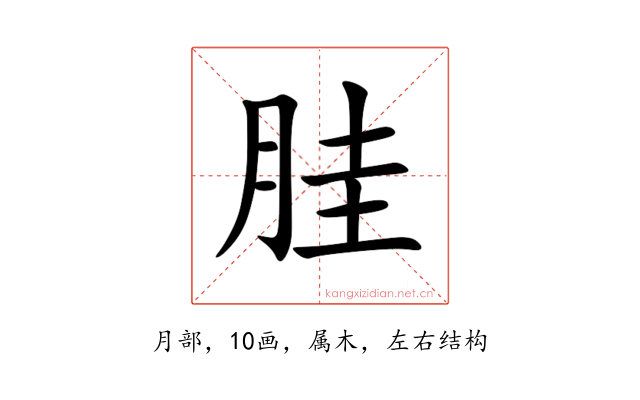 胿
