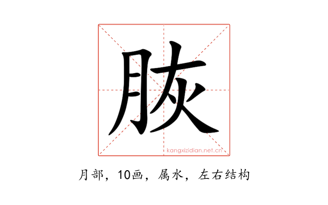 脄