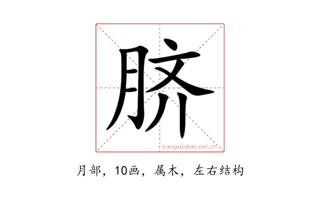 脐