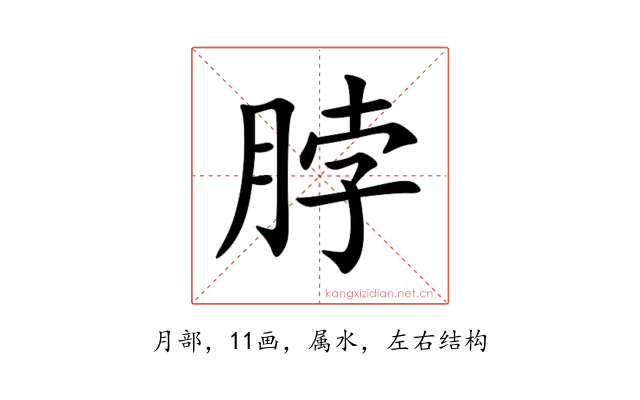 脖