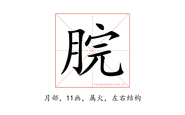 脘