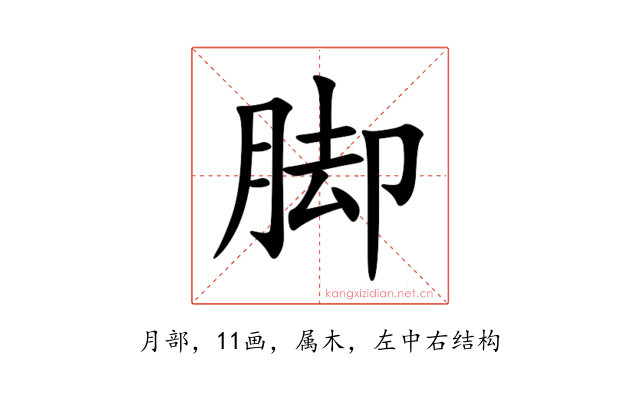 脚