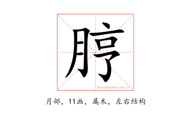 脝