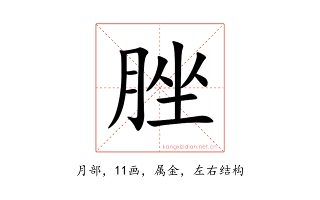 脞