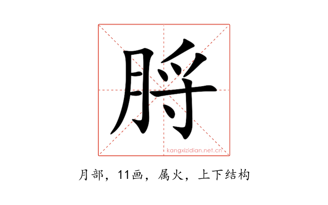 脟