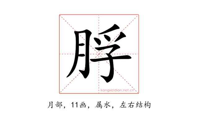 脬