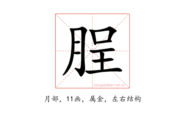 脭