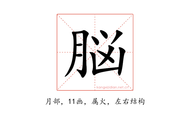 脳