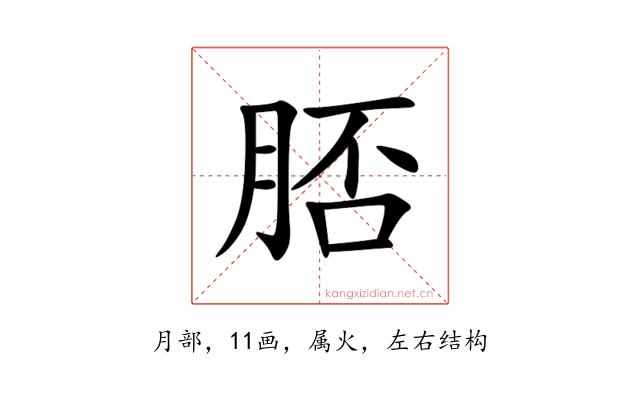 脴