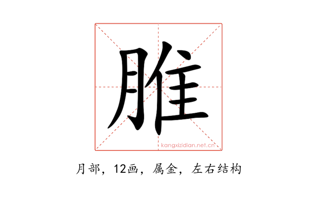 脽