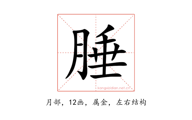 腄
