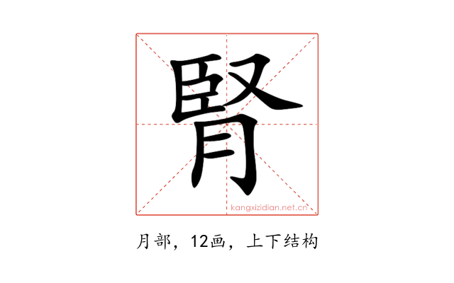 腎