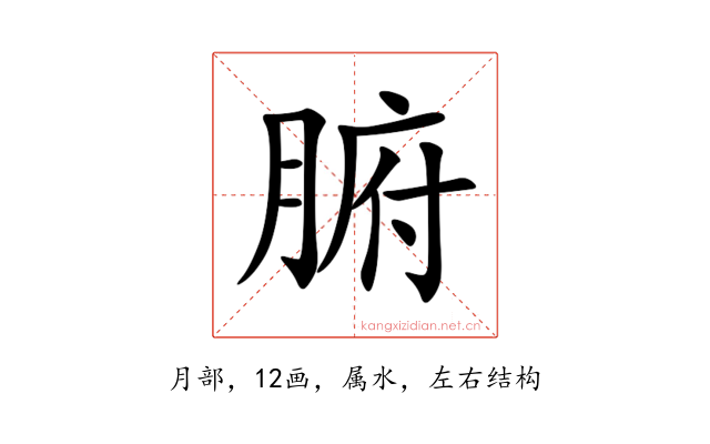 腑