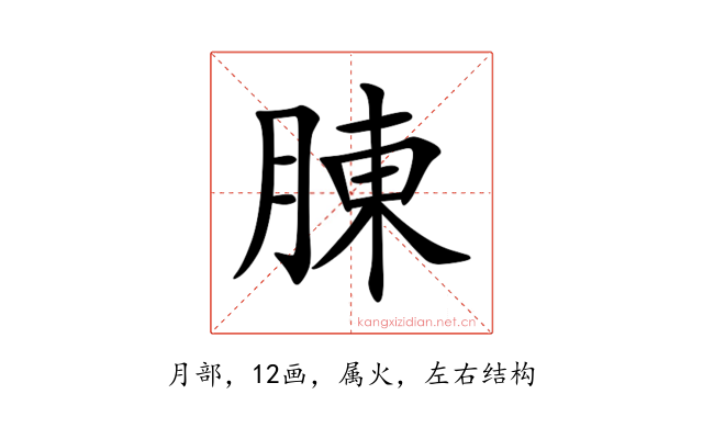 腖