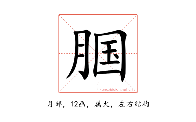 腘