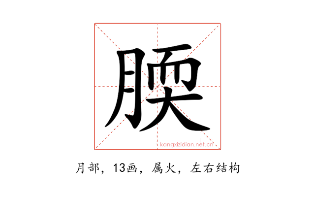 腝
