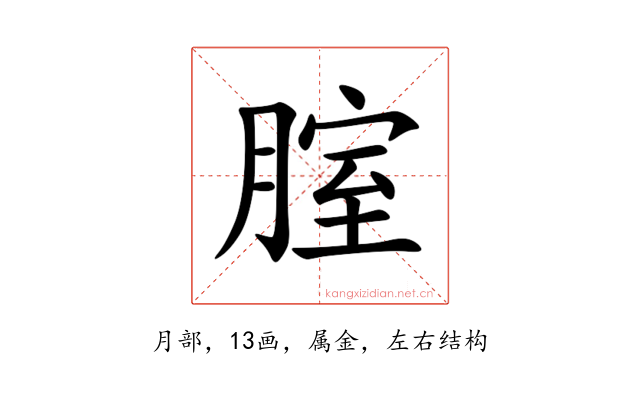 腟
